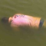 புத்தளத்தில் இறால் பண்ணை நீர் தொட்டிக்குள் விழுந்து குடும்பஸ்தர் மரணம்