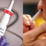 இந்தியாவில் நாசி வழி பூஸ்டர் தடுப்பு மருந்தின் சோதனைக்கு அனுமதி….