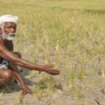 இலங்கையில் பாதிக்கப்பட்ட விவசாயிகளுக்கு இழப்பீடு வழங்க தீர்மானம்