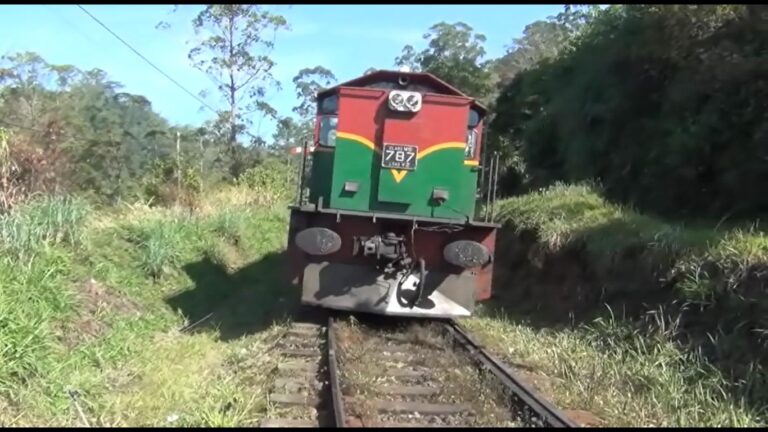 பாதிக்கப்பட்ட மலையக புகையிரத சேவைகள்