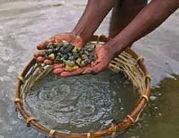 சட்டவிரோத மாணிக்கக்கல் அகழ்வு-2வர் உயிரிழப்பு