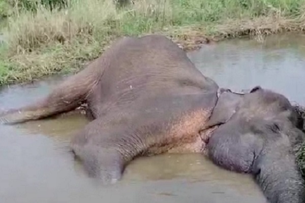 ஆறு நாட்களாக உயிருக்கு போராடும் உயிர்-கவலையில் கிராமமக்கள்