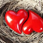 காதலர் தினம்-அரசாங்கம் விடுத்த முக்கிய அறிவிப்பு