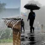 மட்டக்களப்பில் பதிக்கப்பட்ட பெரும்போக அறுவடைகள்