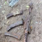 காதலர் தினத்தில் மீட்கப்பட்ட..