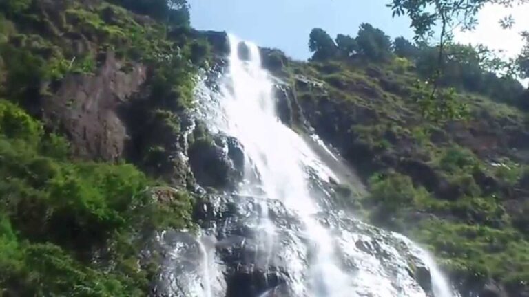 பரிதாபகரமாக நீரில் மூழ்கி உயிரிழக்கும் உயிர்கள்!!