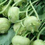 வயிற்று பிரச்சனைகளை தீர்க்கும் நூக்கல்