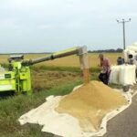 நெல்லை கொள்வனவு ஆரம்பித்த அரசாங்கம்