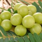 முழு நெல்லிக்காய் நன்மைகள் இவ்வளவா!