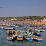 யாழில் இந்தியாவின் எத்தனை படகுகள் ஏலத்தில் விற்பனை செய்ய பட்டது தெரியுமா?