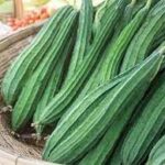 உடல் எடையை குறைக்கும் பீர்க்கங்காய்!