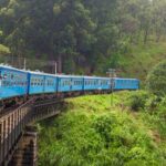 ஓடும் புகையிரதத்தில் இருந்து தவறி விழுந்த இரு வெளிநாட்டு சுற்றுலா பிரஜைகள்