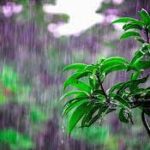 வடக்கு, கிழக்கு மாகாணங்கள் -கனமழை கிடைக்க வாய்ப்புள்ளது