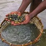 சட்டவிரோத மாணிக்கக்கல் அகழ்வு-2வர் உயிரிழப்பு