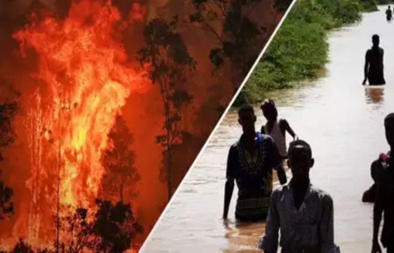 மேற்கில் தீ – கிழக்கில் கனமழை! அவுஸ்திரேலியாவின் நிலை மேற்கில் தீ – கிழக்கில் கனமழை! அவுஸ்திரேலியாவின் நிலை