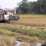 விரைவில் அறுவடை குறைவான விவசாயிகளுக்கு இழப்பீடு – ரமேஷ் பத்திரன!