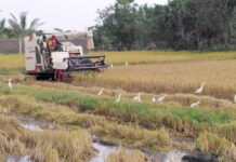 விரைவில் அறுவடை குறைவான விவசாயிகளுக்கு இழப்பீடு – ரமேஷ் பத்திரன!