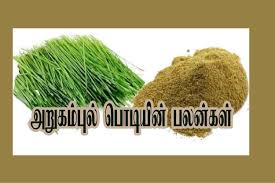அனைத்து வகையான மண்ணிலும் வளரக்கூடிய அறுகம் புல் பொடியின் மருத்துவம்