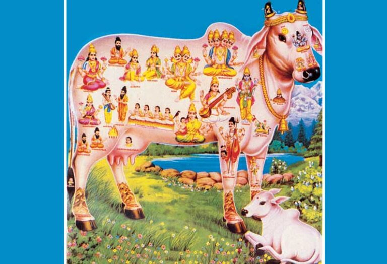 கோமாதாவின் உடற்பகுதியில் உறையும் தெய்வங்கள் பற்றி உங்களுக்கு தெரியுமா ?