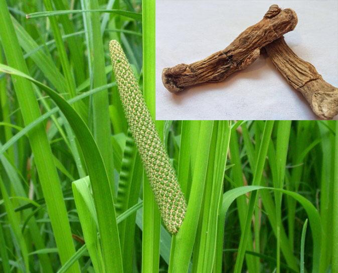 உங்களை பிடித்த பீடை விலக பெயர் சொல்லாத இந்த 1 போதுமே