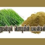அனைத்து வகையான மண்ணிலும் வளரக்கூடிய அறுகம் புல் பொடியின் மருத்துவம்