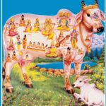 கோமாதாவின் உடற்பகுதியில் உறையும் தெய்வங்கள் பற்றி உங்களுக்கு தெரியுமா ?