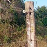 பாதுகாப்பற்ற மின்சார வேலி-பறிபோன உயிர்கள்