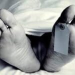 பாலமொன்றிக்கு அடியில் இருந்து மீட்கப்பட்ட மனித எச்சங்கள்