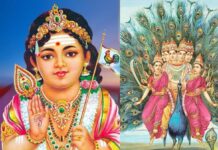 இன்று பங்குனி செவ்வாய்! முருகனுக்கு இந்த 1 பொருளால் அபிஷேகம் செய்தால் வந்த துன்பம் நீங்கும்