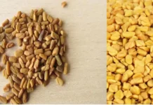 வெந்தயம் -கருஞ்சீரகம் இதில் இத்தனை நன்மைகளா?