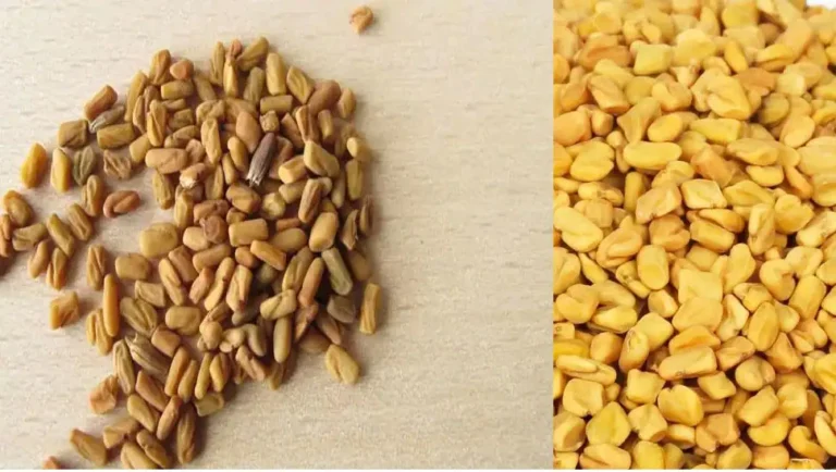 வெந்தயம் -கருஞ்சீரகம் இதில் இத்தனை நன்மைகளா?