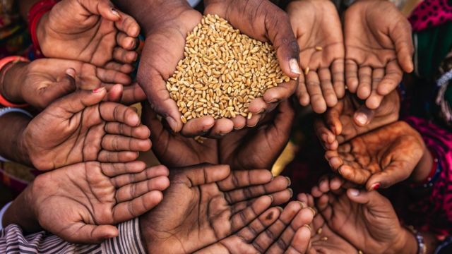 இந்தியாவின் உணவு தானியங்கள் ஏற்றுமதியை உலகமே எதிர்பார்த்து இருக்கிறது!!