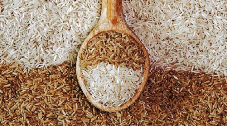 இந்தியாவிடமிருந்து கடன் அடிப்படையில் இறக்குமதி செய்யும் அரிசி