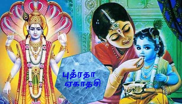 புத்திர பாக்கியம் தரும் ஏகாதசி விரதம்