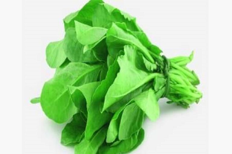 மாரடைப்பு, ரத்த குழாய்கள் அடைப்பு நோய்கள் வராமல் தடுக்கும் பாலாக்கீரை