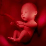 உங்கள் குழந்தை கருவிலேயே புத்திசாலியாக வளர வேண்டுமா ?