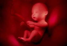 உங்கள் குழந்தை கருவிலேயே புத்திசாலியாக வளர வேண்டுமா ?