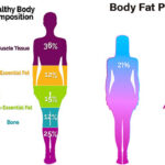 ஆண்,பெண் உடல் அமைப்பில் வேறு பட்டிருக்கும் அம்சங்கள்!