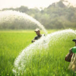 உரங்களையும் இறக்குமதி செய்ய நடவடிக்கை விலை சூத்திரம் அறிமுகப்படுத்தப்படும்