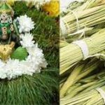 தர்ப்பை புல்லை ஏன் இந்து சமயத்தில் பூஜைகளில் பயன்படுத்துகின்றார்கள்!!