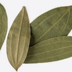 குடலியக்க பிரச்சனைகளுக்கு தீர்வு தரும் பிரியாணி இலை !!