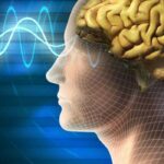 மூளையை பாதிக்கும் விஷயங்கள்..!