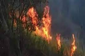 புகையிரத நிலையத்தை சார்ந்த வனப்பகுதியில் தீ விபத்து!