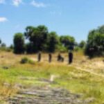 வெவ்வேறு இடங்களில் கண்டு பிடிக்கப்பட்ட மோட்டார் குண்டுகள்