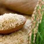 பேராதனை பல்கலைகழகத்தின் சிரேஷ்ட பேராசிரியர் ஒருவர் வெளியிட்ட தகவல்!!