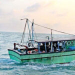 இந்தியா செல்ல முயற்சித்த 12 பேர் கைது