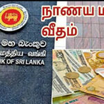 மத்திய வங்கி வெளியிட்டுள்ள இன்றைய நாணய மாற்று விதம்