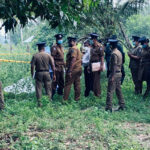 ஒரே குடும்பத்தைச் சேர்ந்த அண்ணன், தங்கை மரணம்