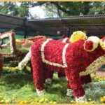 வரும் 24-ந்தேதி ஆரம்பிக்கப்படவுள்ள கோடை விழா…!