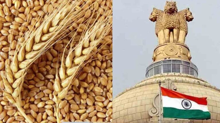 இந்தியாவில் கோதுமை ஏற்றுமதிக்கு தடை விதித்தது மத்திய அரசு! இந்தியாவில் கோதுமை ஏற்றுமதிக்கு தடை விதித்தது மத்திய அரசு!